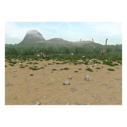 Моя книга наклеек. Динозавры - Робинс фото 4