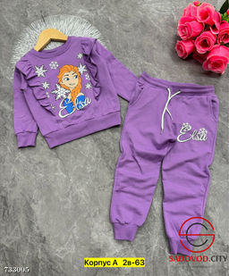 Костюм спортивный двойка