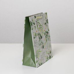 Цена за 2 шт. Пакет подарочный ламинированный, упаковка, Present for you, MS 18×23×8 см