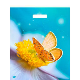 Пакет с вырубной ручкой 38х45+6см 60мкм (Мгновения) Глянцевый Тико (х50/500) ВУР58798 1упак/50шт.