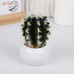 Цветочная композиция Кактус / WER-10 /уп 12/192/ микс