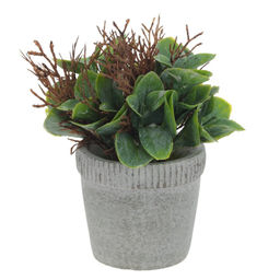 Цветочная композиция, L11 W11 H16 см, 2в. - Remeco фото 3