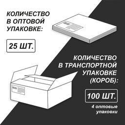 Светоч 12ТСК5_1_3_1 Тетрадь ученическая школьная Классная A5 12 л. на скобе 65 г/кв.м , белизна 100 % 25 шт. клетка 000292 Голубая