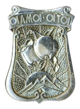 Значок Алма-Ата