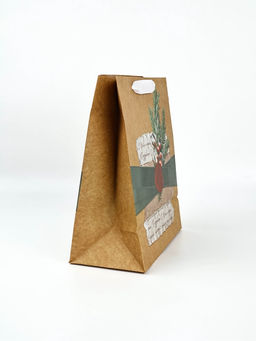 Набор пакетов крафтовых «Новогоднее поздравление»