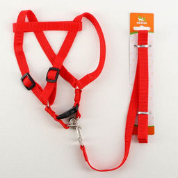 Комплект Базис, поводок 120 х 1,5 см, ОГ 32-46 см, красный - Пижон фото 5