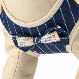 Комплект с мягкой шлейкой Якорь, размер L, поводок 120 х 1,5 см, ОГ 42-76 см, синий - Пижон фото 4