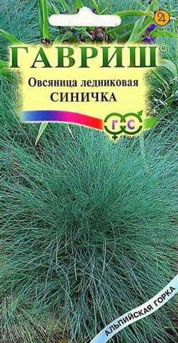 Овсяница декоративная Синичка (сизая ледниковая) 0,1г (Гавриш)