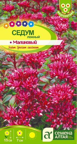 Седум Малиновый 0,01г (Семена Алтая)