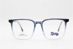 Оправа Bosiyan 2056 52-21-145 C4 с насадкой Polarized