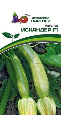 3023P Кабачок ИСКАНДЕР F1 5шт