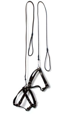 Шлейка+поводок АмунициоНН кожа 20 мм мод.501