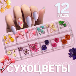 Сухоцветы для декора Ассорти, объёмные, 12 видов, в футляре, разноцветные
