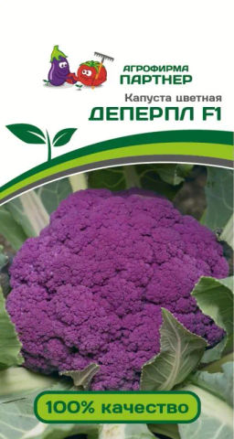 Капуста цветная Деперпл (фиолетовый)