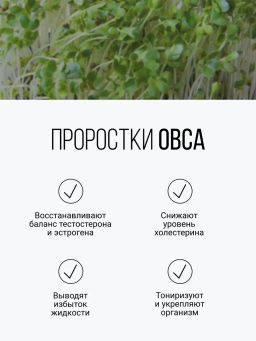 Смесь из семи видов проростков 200г (пшеница, полба, спельта, рожь, овес, чечевица, зеленая гречка)