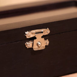 Игра настольная «Домино», в шкатулке, 20×7×4 см, дерево шишам