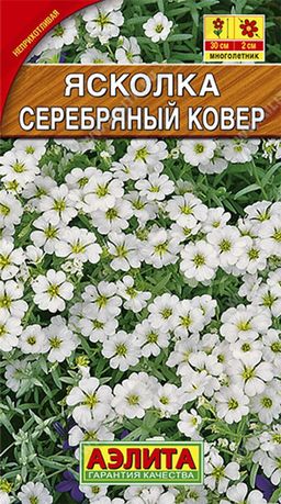 Ясколка Серебряный ковер