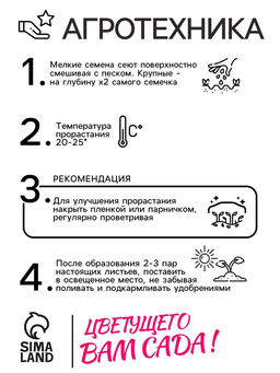 Цена за 3 шт. Семена Монарда лимонная "Бегемот", 110 шт