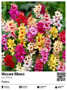 Иксия Микс