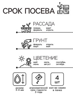 Семена комнатных цветов Пеларгония «Эйплблоссом», 4 шт., «Агроуспех»