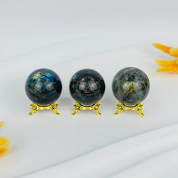 Шар из Лабрадора на подставке