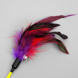 Дразнилка Фазан с бубенчиком, 50 см, микс цветов - Пижон фото 2