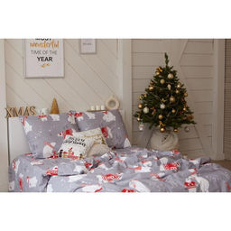 Постельное бельё евро Этель. Зимние игры, поплин