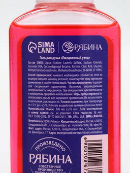 Подарочный набор косметики «Новогодних чудес», гель для душа 2 шт х 100 мл, URAL LAB