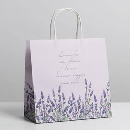 Цена за 2 шт. Пакет подарочный, упаковка, Если бы, 22?22?11 см