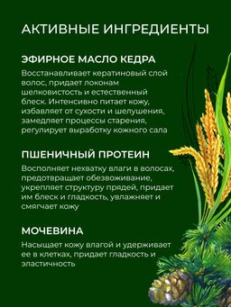 Шампунь-гель 2 в 1 для мужчин Магический кедр с афродизиаками - Siberina фото 5