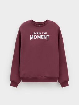 КР 302802/коричневый 1614 к634 джемпер (свитшот) для мал