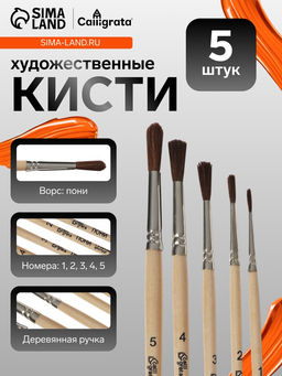 Набор кистей для рисования, пони, 5 штук: № 1, 2, 3, 4, 5, Calligrata, круглые, деревянная ручка, в пакете