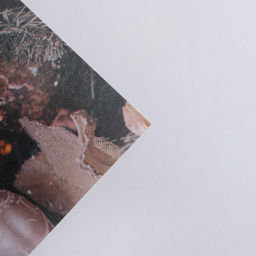 Цена за 10 шт. Бумага упаковочная крафтовая «Торжество у ёлки», 50 х 70 см