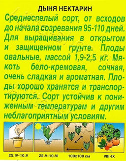 Дыня Нектарин 1г (Аэлита)