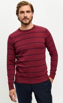 Джемпер F421-1547 bordo - Fine joyce фото 3