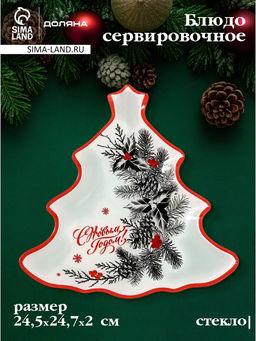 Блюдо сервировочное новогоднее Доляна С Новым Годом, 24.5?24.7?2 см, стекло, белое