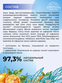 Пенка для умывания Siberina Teen Boy с цинком, 400 мл