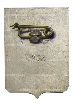 Значок Демянск