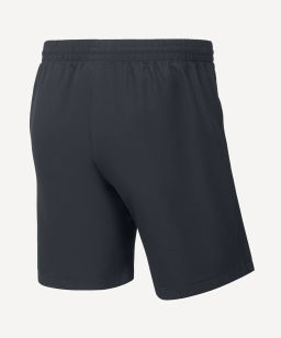 Шорты JOGEL CAMP 2 Woven Shorts, темно-серый фото 2