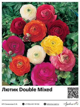 Лютик Double Mixed