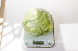 Капуста белокочанная ультраранняя Настя - Партнер фото 4