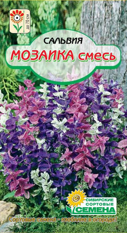 Мозаика сальвия смесь 0,1г (ссс)