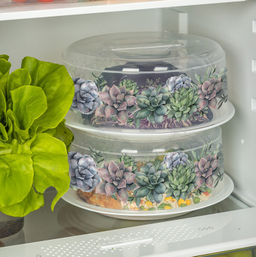 Крышка для СВЧ D250мм с декором (бесцветный) 222132601/00