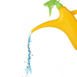 Лейка - распылитель 2л. М276 - Альтернатива фото 3