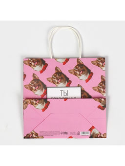 Цена за 2 шт. Пакет подарочный, упаковка, Киса, 22?22?11 см