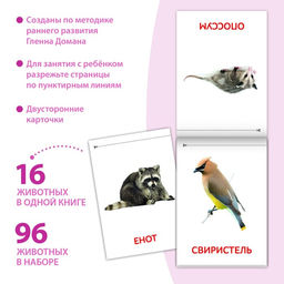 Книги набор Карточки Домана. Животные материков, 6 шт. по 20 стр. - Буква-Ленд фото 2