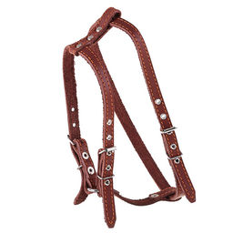 Шлейка кожаная Прогулочная, 1,5 см, ОШ35-50 см, ОГ 60-68 см, чёрный