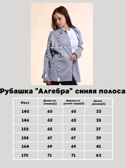 Рубашка "Алгебра" синяя полоса