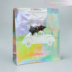 Пакет голографический Спешу к тебе, M 26 30 9 см