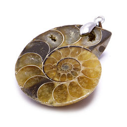 Кольцо Ракушка